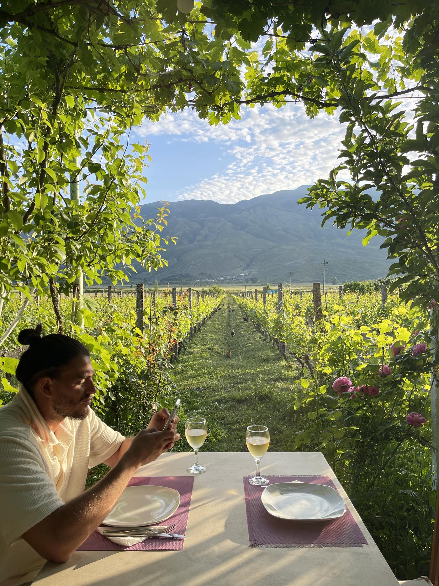 Dîner dans les vignes